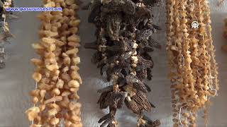 Torosların Zirvesinden Gelen Bucak Salebi Türkiyeyi Isıtıyor