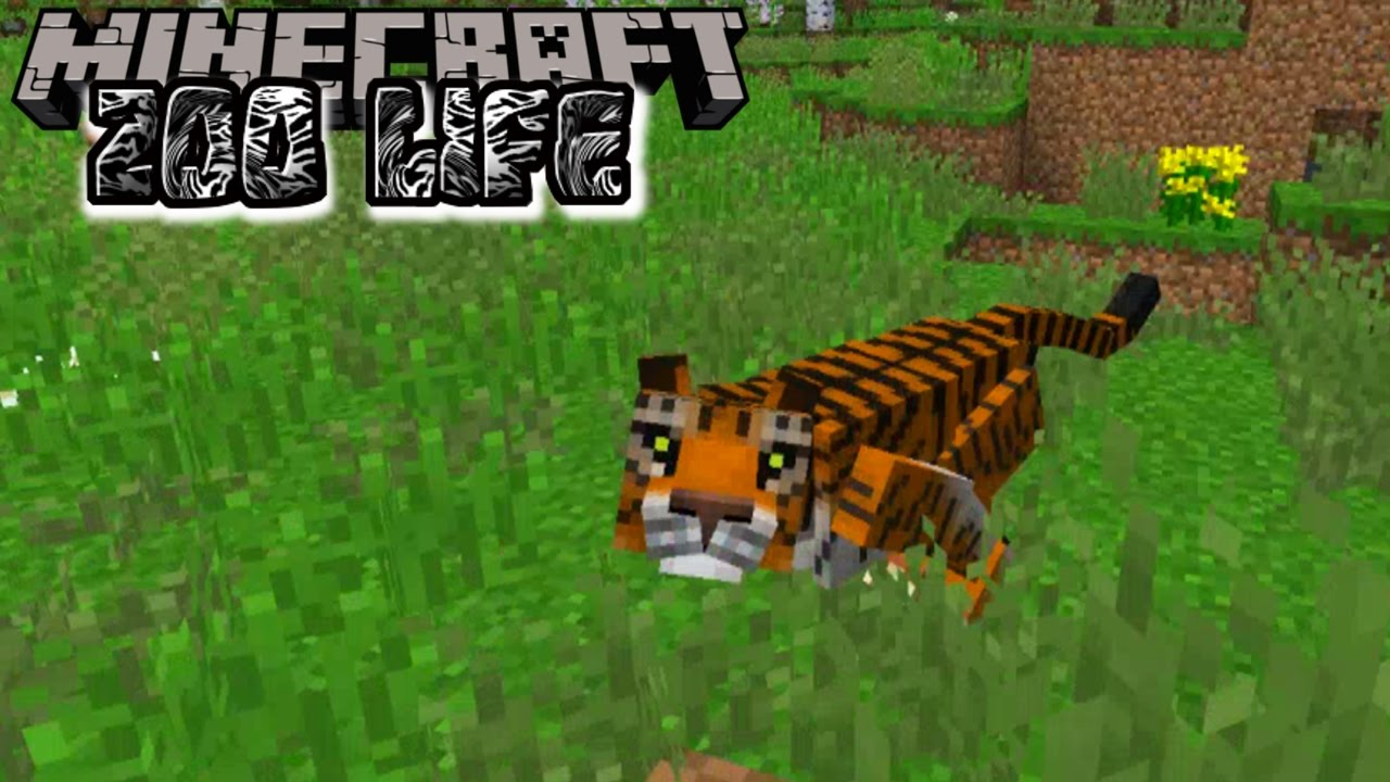 Tiger 3. скайрим ездовой тигр. тигр 3д. тигр майнкрафт мод. мод тигры.