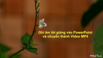Ghi âm lời giảng lên PowerPoint và chuyển thành Video
