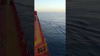 Tum sangharsh karne nhi, tum itihas badle aaye ho. #motivation #shorts #viral #travel #merchantnavy