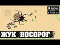 ЖУК НОСОРОГ - Pocket Ants: Симулятор Колонии