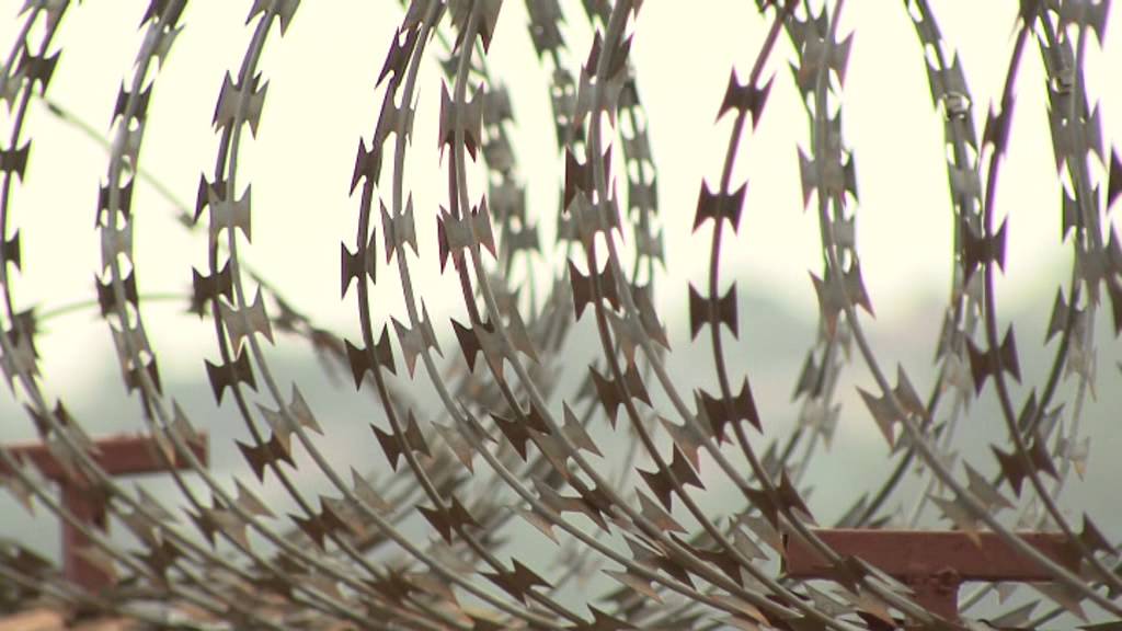 Made in the image of God