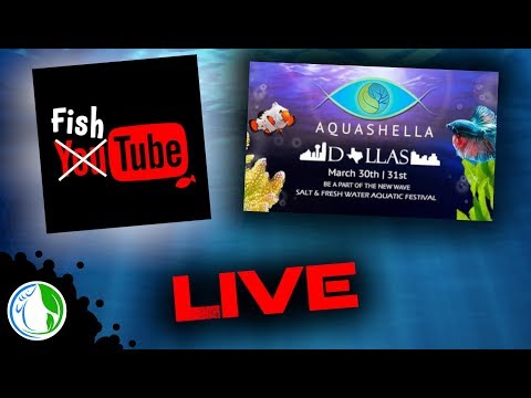AQUASHELLA IS COMING! WILL YOU BE THERE?