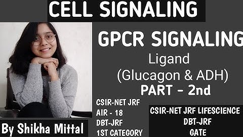 GPCR SIGNALING (G Protein Coupled Receptor) - Cell Signaling CSIR-NET JRF LIFESCIENCE