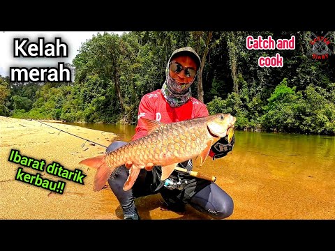 Cara Mancing Kelah Catch And Cook CD245