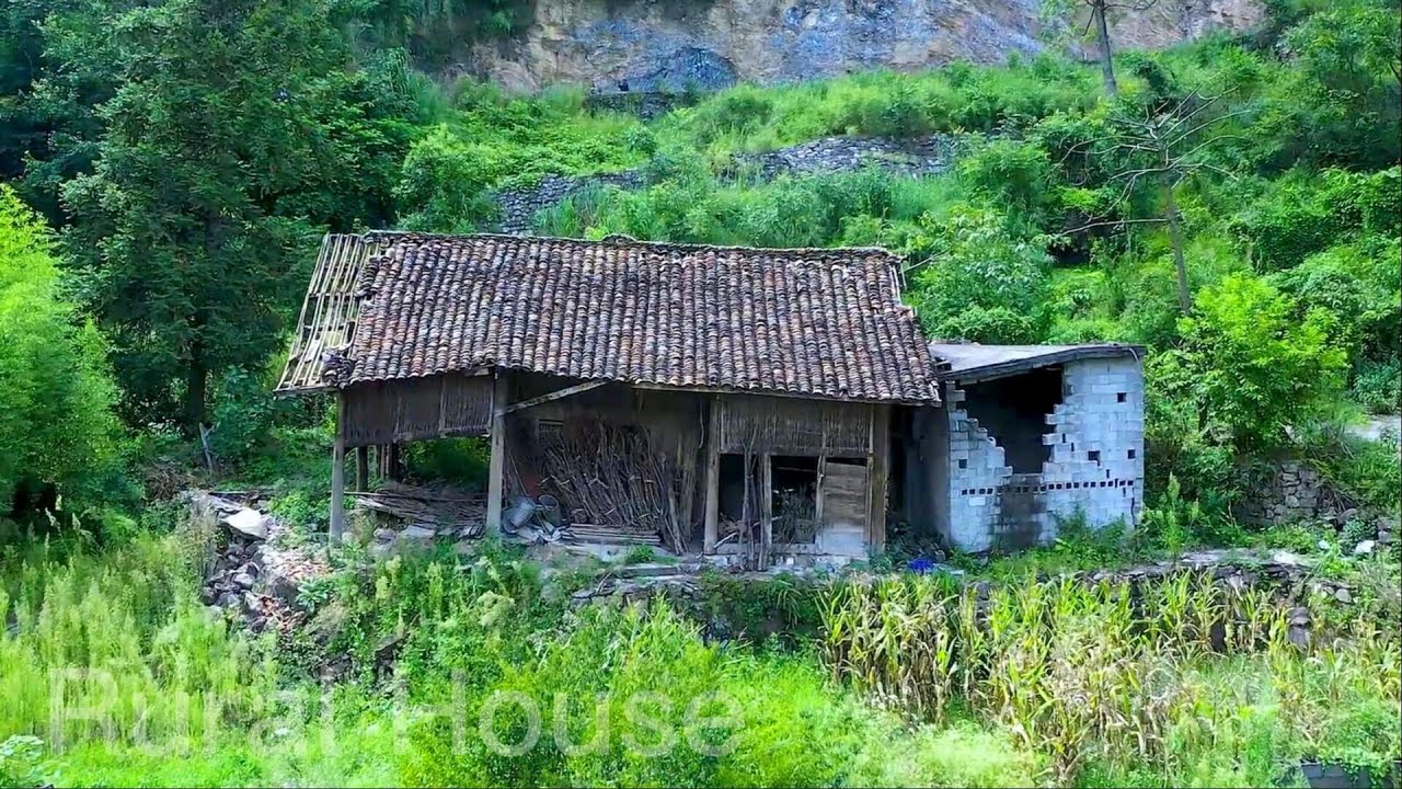 After being depressed ~ this poor boy is renovating an old house in the rainforest ~adopting a puppy