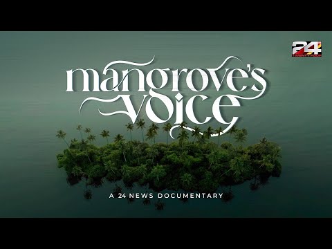 Mangrove's Voice  | 24 News Documentary | Munroe Island