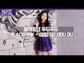  na haeun   blackpink   ddu du ddu du dance cover