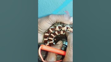 How to fix the current coming in the ceiling fan | Easy way to remove current from ceiling fan #t...