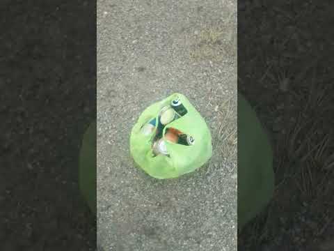 жизнь в деревне