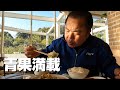 島原半島から大根満載で関西へGO!まったり孤独な青果輸送の一日。