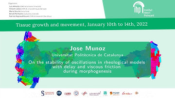 On the stability of oscillations in rheological models with delay and viscous friction...