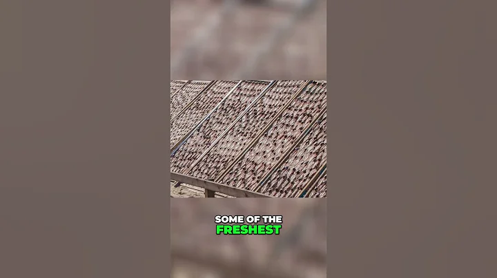 Discover the Hidden Gems of the Amalfi Coast: Hiking Trails, Waterfalls, and Authentic Villages