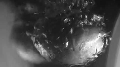 Boiling heat transfer experiment - Film boiling