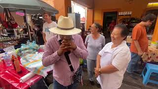 The cheapest tacos in Tequila, Jalisco on the famous "Hunger Walk" – I only spent 15 pesos