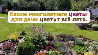 Какие многолетние цветы для дачи цветут всё лето.💐