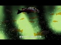 【土壤的身世】  #親。土壤與環境生態  片段
