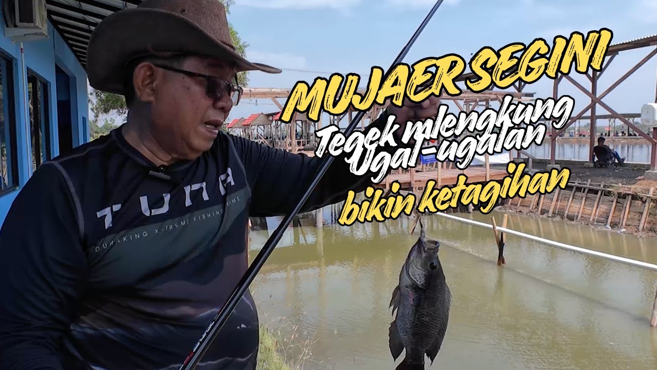 Gentak Mujaer Pake Tegek bikin nagih 