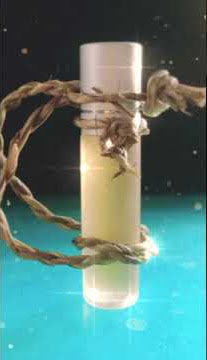 lagu aceh (asai bak punca)#shorts #shots #aceh #seraiwangi#bungaserai