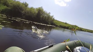 картинка: ОГРОМНАЯ ЩУКА РАЗМОТАЛА МЕНЯ! Рыбалка на спиннинг, ловля щуки с лодки