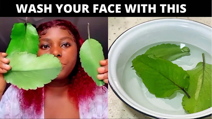 3 Miracle Leaves. Wash your Face with it and see,
