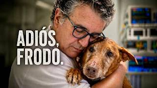 Frodo falleció esta mañana
