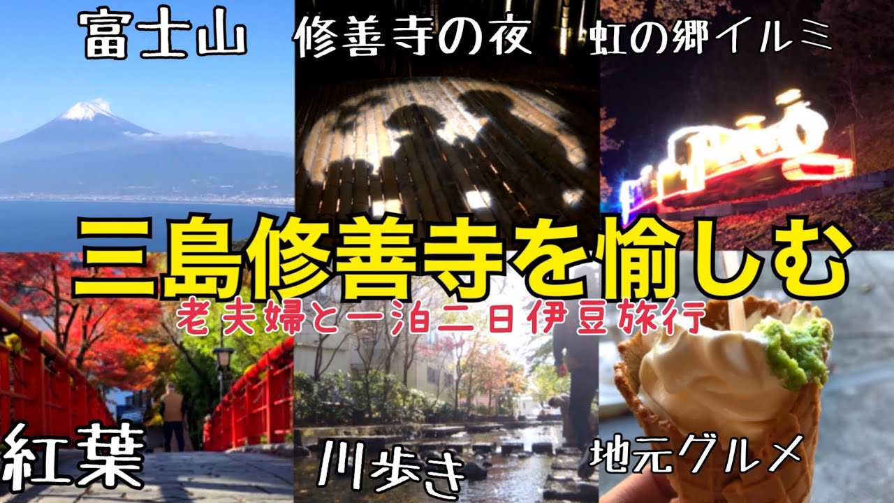 伊豆旅行 老夫婦と行く一泊二日 車無し 三島 修善寺温泉 虹の郷 イルミネーション グルメ 観光 モデルコース カップル vlog 三嶋大社 源兵衛川　ロムニー鉄道 富士山