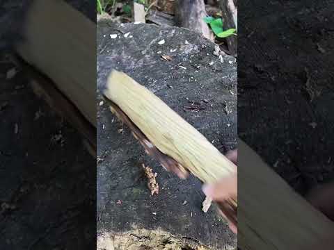 BPS Knives Nighthawk Adventurer Cut Test and Beat Down