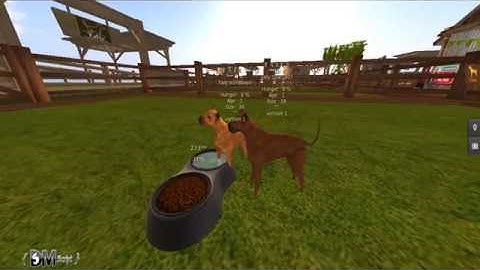 How to feed  pets : Taily breedable pets in second life.