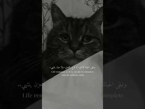ولا الم بيخلص