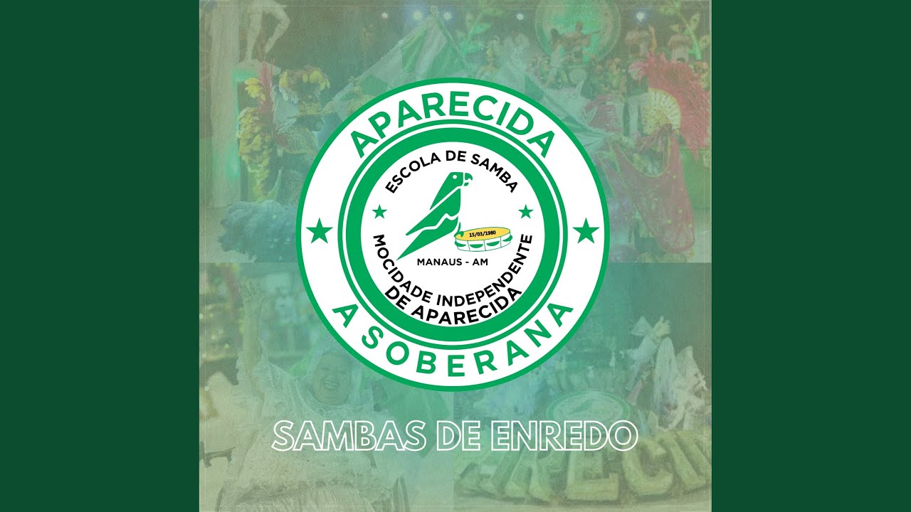 Gratia Plena, Aparecida! 300 Anos no Coração do Brasil. Rogai por Nós, Nossa Senhora! (2017)