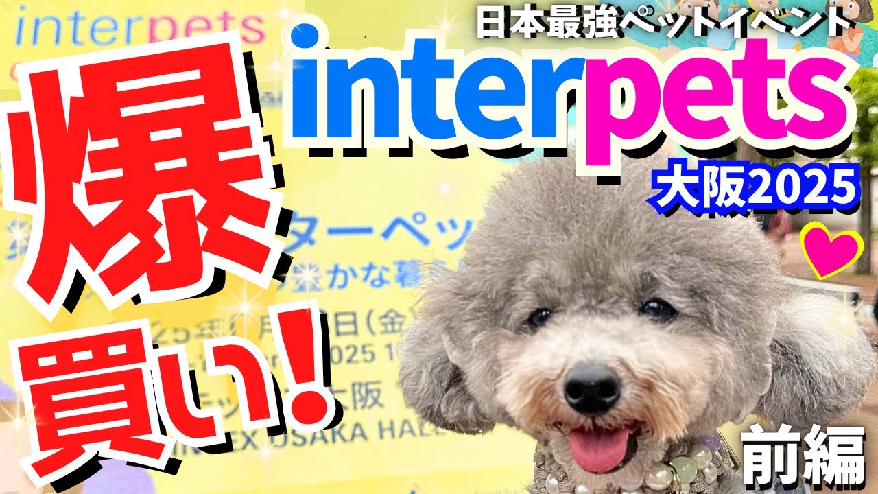 【インターペット大阪2025 速報】日本最大級のペットイベントで爆買い＆無料サンプルに大興奮🐶【インテックス大阪】【犬イベント】前編 【厳選出展者20社紹介・過去最多360社】