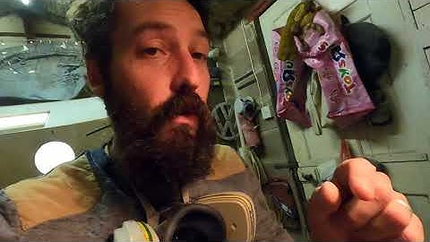 Back in the Game Part 2 Cleaning Fossils