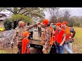 Alabama rabbit hunt with longbowbanjoal