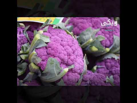 تعرف على أهم فوائد القرنبيط الزهرة