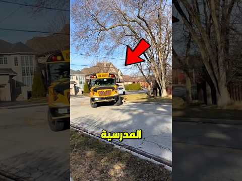 لماذا كل الحافلات المدرسية كلها صفراء اللون 