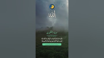آية ٥٦-٥٩ من سورة العنكبوت