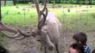 SANY0494.avi