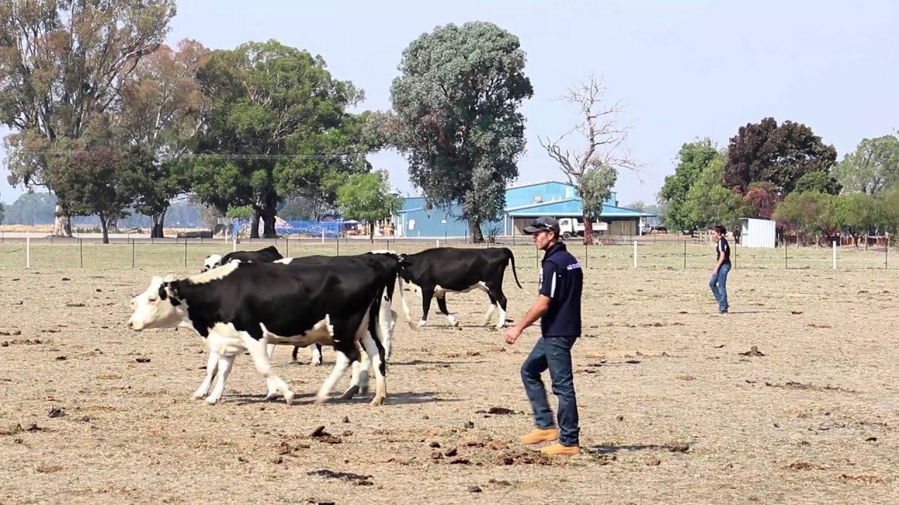 Hands-on experience for our Agriculture students - YouTube