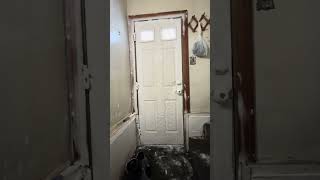 This is what happens in a house with a wet basement and no heat during Michigan winters.