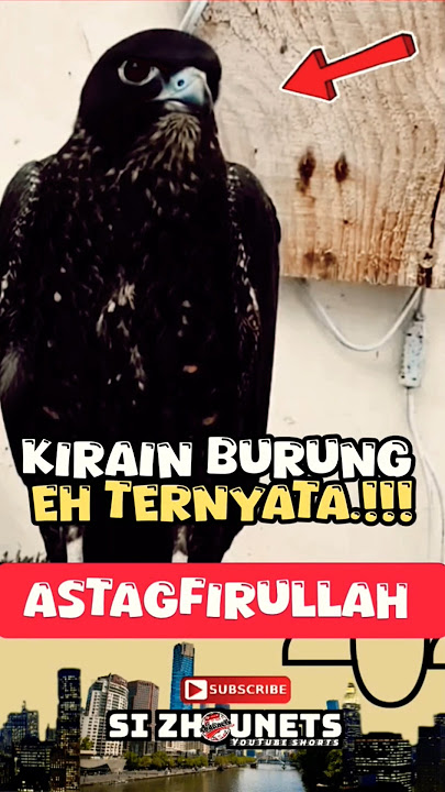 KIRAIN BURUNG EH TERNYATA😱⁉️🫣ASTAGFIRULLAH ALADZIM #viral #islam #tiktok #allah #shorts