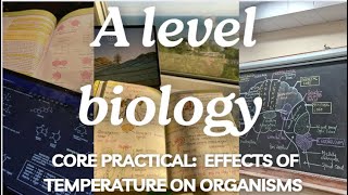 A Level Biology Edexcel A SNAB Practical: Investigating the effects of temperature
