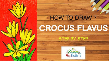 How to DRAW Crocus flavus for kids _Step by step