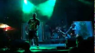 Brutal Assault - Despised