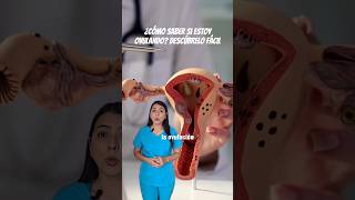 Cómo Saber Si Estoy Ovulando? Descúbrelo Fácil