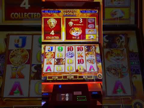 sûr Nine Casino tours gratuits promotion