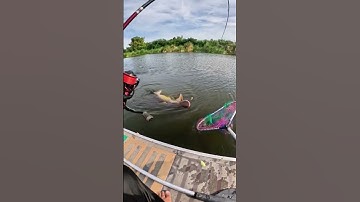 #shorts đam mê câu lure câu cá giải trí #94 #fishing #cauca