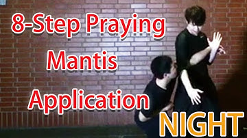 Eight - Step Praying Mantis Application / Leon Chu (朱思勳)/八步螳螂