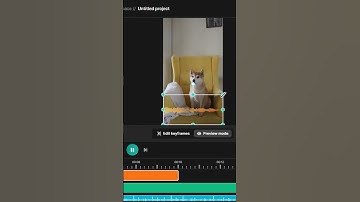 Visualize Your Audio Tracks with Waveforms ✨