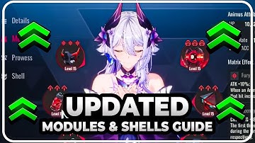 The Ultimate Beginners Modules & Shells Guide Updated! | Etheria Restart